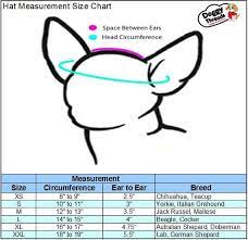 Pin On How To Size You Dogs Head For A Hat