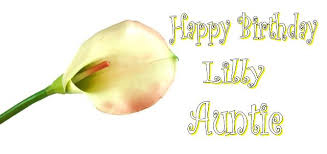 Maybe you would like to learn more about one of these? Happy Birthday Lilly Auntie April 25 2010 Lappakkaran S Family Blog