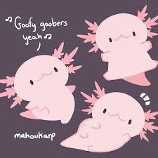 See more ideas about axolotl, axolotl cute, drawings. 99 Axolotl Cute Ideas Axolotl Axolotl Cute Cute Animals
