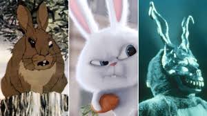 What colour eyes do white rabbits have? Why Is Hollywood So Scared Of Bunnies Vanity Fair