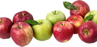 My first time making applesauce and it was delicious. Freezer Applesauce Recipe Farmhouse Bc