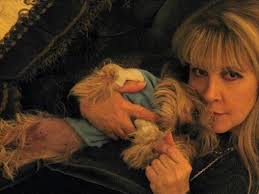 Stevie answers your questions