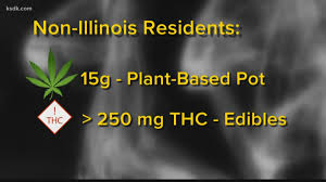 We did not find results for: Recreational Marijuana Is Legal In Illinois Here S What You Need Ksdk Com