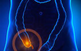 The appendix has vast quantities of special immune cells which help fight infection in the gu and eliminate. 9 Things You Need To Know About Your Appendix Women S Health