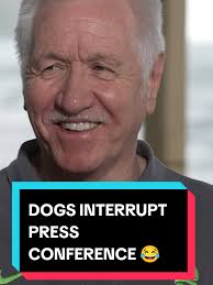Dogs Interrupt Matildas Coach Press Conference