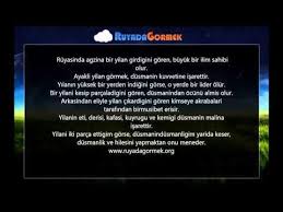 Ruyada Yilan Gormek Ne Anlama Gelir Videolu Ruya Tabirleri Ruya Vasiyet Atlar
