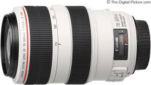 Canon 70 300 F 4 5 6 L Is Usm Review Pin On Photography