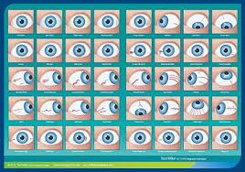 Integrated Iridology Constitution Chart Integrated