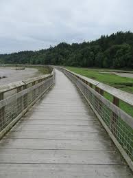 Another puget sound river delta. Billy Frank Jr Nisqually National Wildlife Refuge Delightful Hiking On The Delta Hike Of The Week
