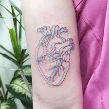 Check spelling or type a new query. Anatomical Heart Tattoo Minimalist Novocom Top