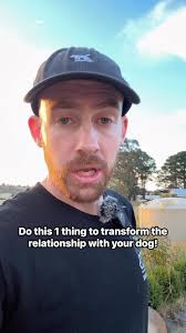 Want one tip that will transform your dogs behaviour and the relationship  you have with them that costs nothing?Ditch your walks and substitute it  for a training and play session at different ...