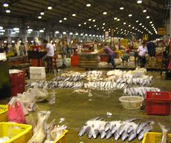 Jurong fishery port is located between one of the two ports that manages the supply of fish to singapore. Fish From Our Farms Available At Jurong Fishery Port The Green Seafood Provider