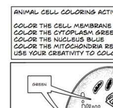 Check spelling or type a new query. 16 Best Plant And Animal Cells Images Animal Cell Plant Animal Cells Animal Cell Project
