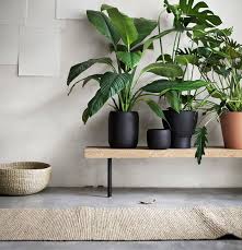 Die Neuen Designkollektionen Sinnerlig Skogsta Ab August Bei Ikea Journelles Pflanzen Fur Innen Zimmerpflanzen Ideen Pflanzen Dekor