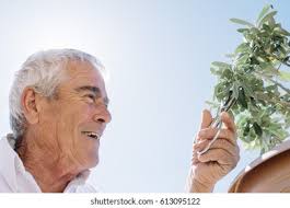 20+ Thousand Old Chinese Man Portrait Royalty-Free Images, Stock Photos &  Pictures