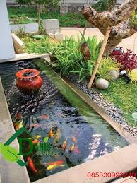 Oleh karena itu, buatlah kolam dengan kedalaman yang cukup. Kolam Ikan Koi Danis Florist Tukang Taman Wa 085330923240