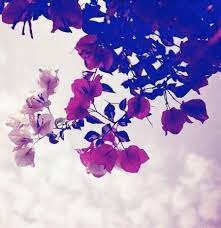 11 Refreshing Desktop Backgrounds To Celebrate Springtime Cute Wallpaper Backgrounds Desktop Wallpapers Backgrounds Wallpaper Backgrounds