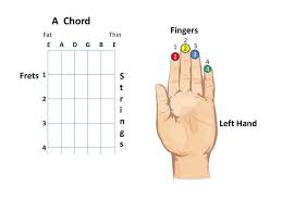 Patrick's day 2 verfügbar im symbol st. Fingers S Frets T R I N G S Left Hand Fat Thin 2 E A D G B E Ppt Download
