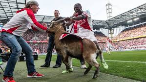 The story of fc köln and hennes the goat 04/05/2020 by james kelly 0. Bundesliga Off The Ball 10 March 2015