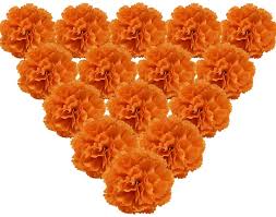 Long cultivated for its pungent flavor and purported medicinal properties, garlic is primarily propagated by cloves which are typically planted in the fall for harvest the following summer. Amazon Com Martine Mall 50pcs Marigold Flower Heads Bulk Silk Carnation Flowers Artificial Flowers Carnation Heads With Stems Artificial Chrysanthemum Carnation Bouquets For Home Wedding Banquet Decor Orange Home Kitchen