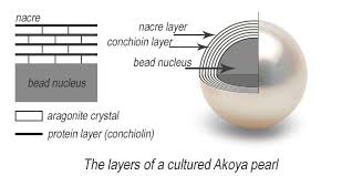 Akoya Pearl Grading Your Insider S Guide To Grading Akoya Pearls Akoya Pearls Sea Pearls South Sea Pearls