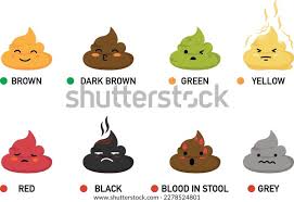 Image result for dark black stool human poop