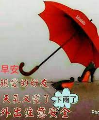 pin by phyllis on 雨天問候圖 umbrella pho momo