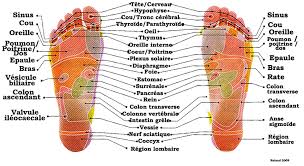 Reflexologie Planche Visuelle Des Pieds Reflexologie Plantaire Reflexologie Massage Reflexologie