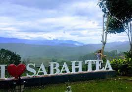 800 x 600 jpeg 198 кб. Why Sabah Tea Garden Is The Best Place To Visit For Tea Lovers