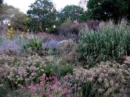 The Battery Gardens Designed By Piet Oudolf Natural Garden Garden Design Landscape Design