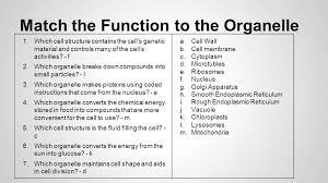 We did not find results for: Self Quiz Ppt Download