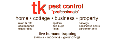 In london ontario pest control industry we are known for rapid, effective and economic pest control solutions. Tk Pest Control Orillia Muskoka Pest Treatment Professionals Exterminator Bed Bugs Spider Control Carpenter Ants Cockroaches Mice Rats Flea Treatments Ticks Bees Hornets Wasps Live Trapping Raccoon Control Skunks Squirrels Animal Ants