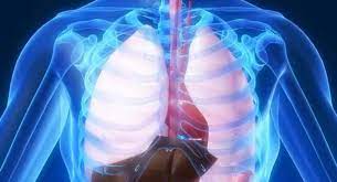 Pacientii care sufera de boli ale cailor respiratorii prezinta dificultati de respiratie. Reporteris Ins NumÄƒrul Deceselor Cauzate De Boli Ale Aparatului Respirator S A Triplat In Luna Martie