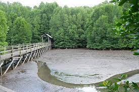 The capital of the state of sabah on the island of borneo, this malaysian city is a growing resort destination due to its proximity to tropical islands, sandy beaches, lush rainforest and mount kinabalu. Kota Kinabalu Wetland Centre 2021 All You Need To Know Before You Go With Photos Tripadvisor
