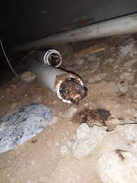 woman's kitchen sink wouldn't drain. 25