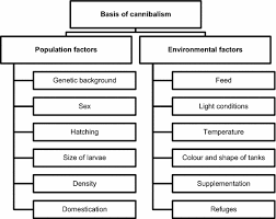 Intracohort Cannibalism And Methods For Its Mitigation In