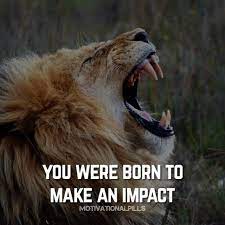 You Were Born To Make An Impact Inspirational Quotes About Success Lion Quotes Inspirational Quotes For Students