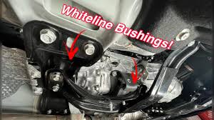 Image result for svrab na k%u016F%u017Ei