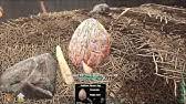 Fishing scorched earth ark loot system by green obelisk oasis. How To Collect Lots Of Cactus Sap In Seconds Youtube
