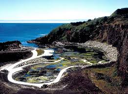 Yaquina Head Tide Pools Yaquina Head Tide Pools Quarry Cove Oregon Road Trip Oregon Beaches Tide Pools