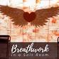 Breathwork in a Salt Room 10am CST event image