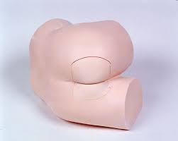 If the digital rectal examination is inconclusive, then anoscopy can be used to furthe. Rectal Examination Model