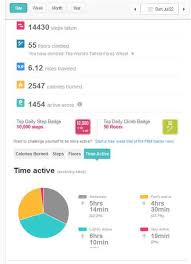 my fitbit experiment