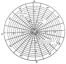 The cabinet vision software helps you eliminate any chance of mistakes in the factory and saves the company's costs by a considerable amount. Cabinet Vision Solid Essential 80 Crack