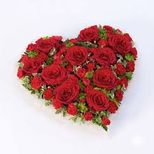 Carnations have inspired many artists, poets, and authors. Red Rose Carnation Heart Funeral Flowers