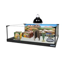 Cette élégante table basse ronde réalisée en verre et en bois s'intégrera à merveille dans tous les. Kit Pour Tortue Terrestre Terrarium L80x35xh25cm Equipe Truffaut