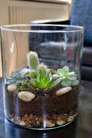 A Small Open Terrarium For Cacti And Succulents Open Terrariums Diy Succulent Terrarium Succulent Terrarium
