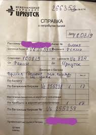 V Poiske Bagazha Pikabu