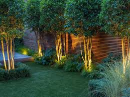 Evening Garden Garden Club London London Garden Backyard Garden Design Garden Design London