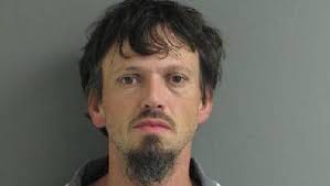 Leesville man faces charges after fighting, fleeing cops